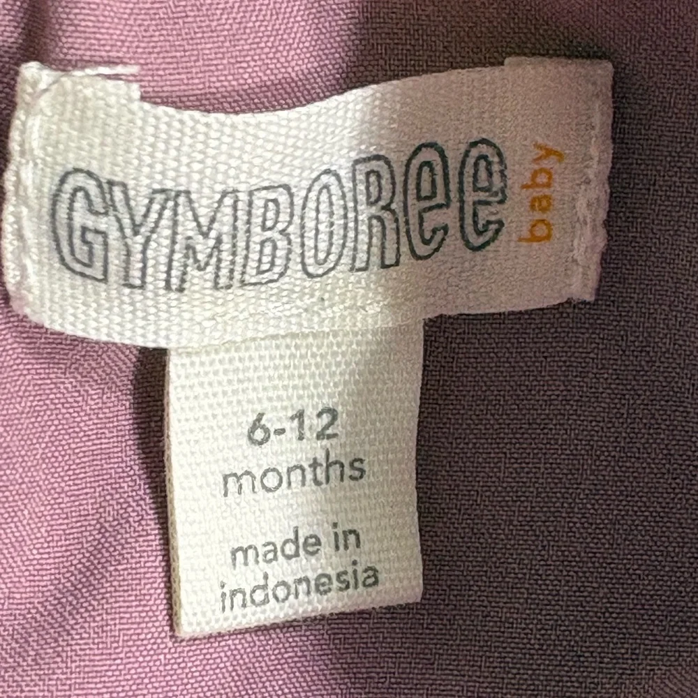 Gymboree Floral Lace Ruffle Cap Sleeve Baby Dress in Purple